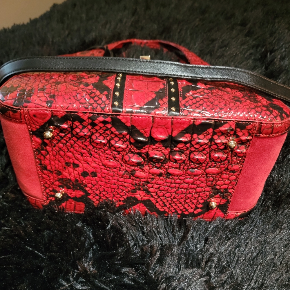 Brahmin carla